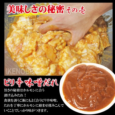 【ふるさと納税】牛白ホルモンミックスピリ辛味噌だれ2kg冷凍