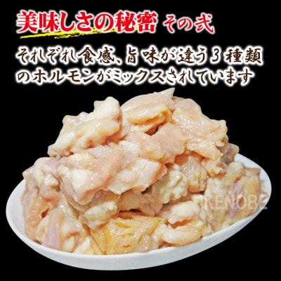 【ふるさと納税】牛白ホルモンミックスピリ辛味噌だれ2kg冷凍