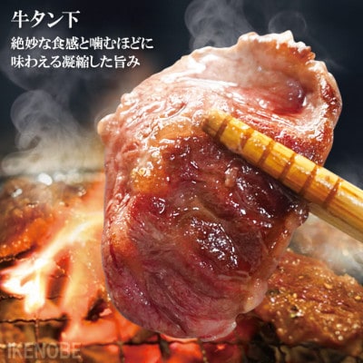 【ふるさと納税】肉汁ジューシー牛舌(下)カルビ成型肉焼肉用　計1kg(250g×4パック)