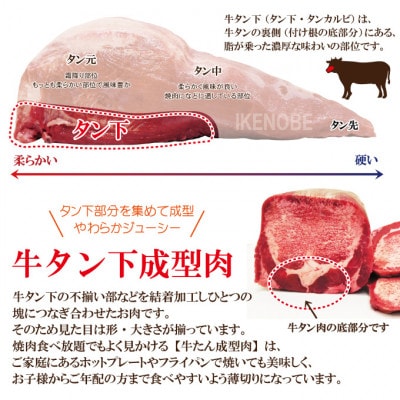 【ふるさと納税】肉汁ジューシー牛舌(下)カルビ成型肉焼肉用　計2kg(250g×8パック)