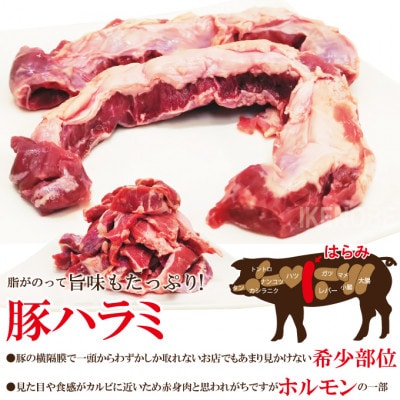 【ふるさと納税】直営焼肉店の味たれ漬け 熟成豚ハラミ2kg冷凍