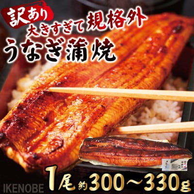 【ふるさと納税】うなぎ蒲焼き1尾冷凍たれ山椒付き 中国産