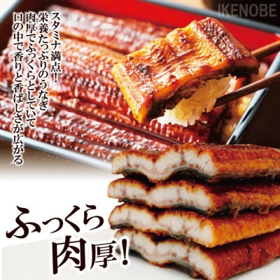 【ふるさと納税】うなぎ蒲焼き1尾冷凍たれ山椒付き 中国産