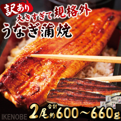 【ふるさと納税】うなぎ蒲焼き2尾冷凍たれ山椒付き 中国産