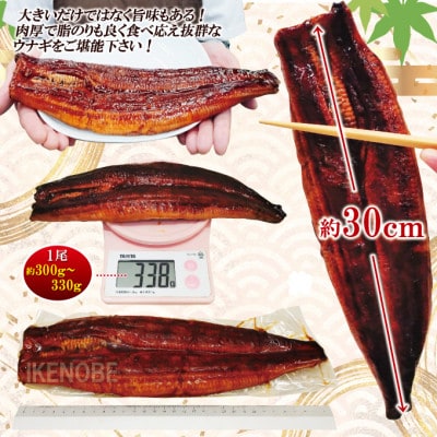 【ふるさと納税】うなぎ蒲焼き2尾冷凍たれ山椒付き 中国産