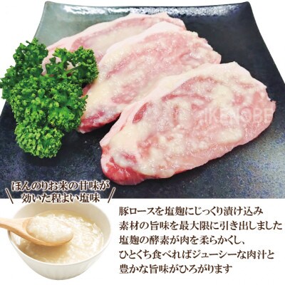 【ふるさと納税】塩麹漬け豚ロース肉約1.2kg(12枚入)冷凍