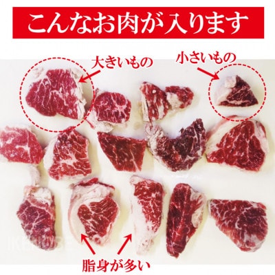 【ふるさと納税】熟成たれはしっこ牛ハラミカルビ1kg(約250g×4パック)冷凍