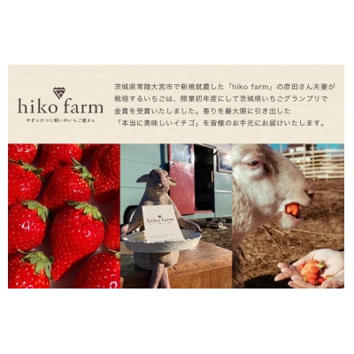 いちごのおくりもの(最高級とちおとめ)1シート(12～15粒)