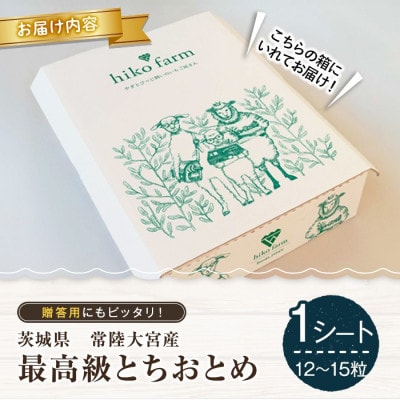 いちごのおくりもの(最高級とちおとめ)1シート(12～15粒)