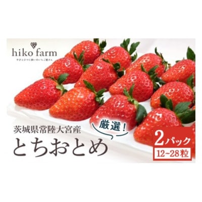 ごほうびいちご(厳選とちおとめ)2パック入り(12～28粒)黒パッケージ