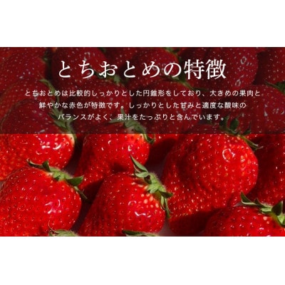 ごほうびいちご(厳選とちおとめ)2パック入り(12～28粒)黒パッケージ