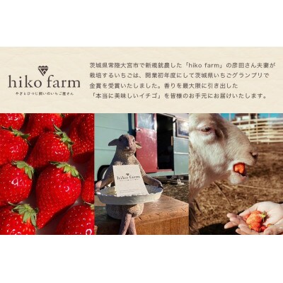 ごほうびいちご(厳選とちおとめ)2パック入り(12～28粒)黒パッケージ