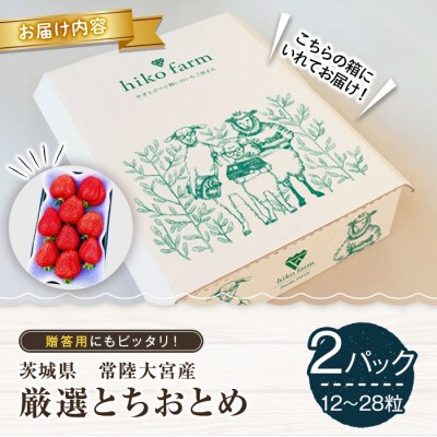 ごほうびいちご(厳選とちおとめ)2パック入り(12～28粒)黒パッケージ
