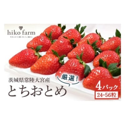 ごほうびいちご(厳選とちおとめ)4パック入り(24～56粒)黒パッケージ | ふるさと納税のお礼品