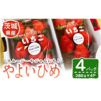 いちご(やよいひめ)280g×4パック入り