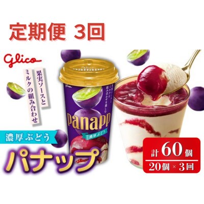 【毎月定期便】パナップ 濃厚ぶどう 20個入り グリコ アイス全3回