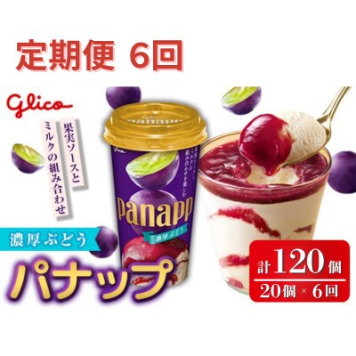 【毎月定期便】パナップ 濃厚ぶどう 20個入り グリコ アイス全6回