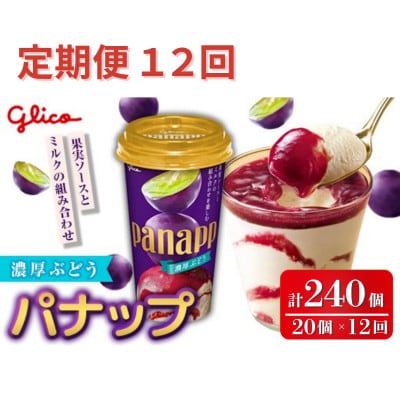 【毎月定期便】パナップ 濃厚ぶどう 20個入り グリコ アイス全12回