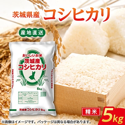 【令和8年産】コシヒカリ 5kg 精白米  茨城県産 米