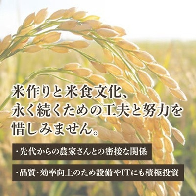 令和7年産　コシヒカリ(精白米)　5kg