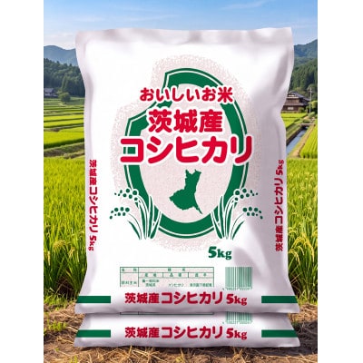 令和7年産　コシヒカリ(精白米)10kg