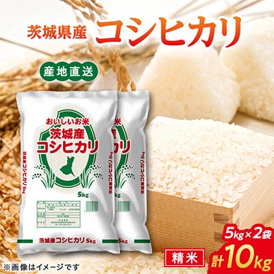 令和8年産 コシヒカリ 10kg( 5kg ×2袋)精白米 茨城県産 米