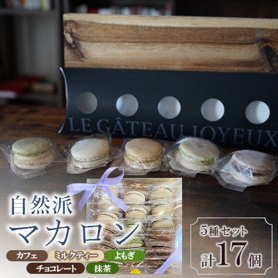 自然派マカロン　17個セット