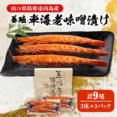 【山口県防府市向島産】養殖車海老味噌漬け　90g(3尾)×3パック(冷凍)