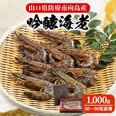 【山口県防府市向島産】吟醸海老1,000g