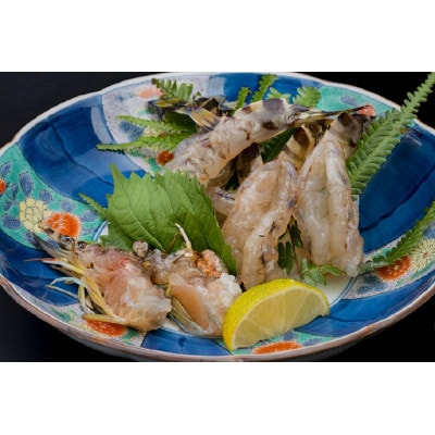 【山口県防府市向島産】2L～3Lサイズ吟醸海老活き250g(5～7尾前後)