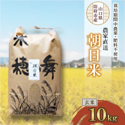 楽天市場】自然栽培 米 玄米 朝日米10kg 令和6年度産 岡山県産