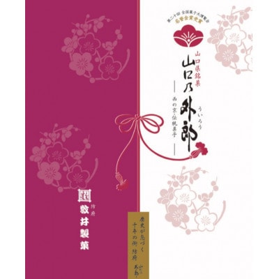 【毎月定期便】山口乃外郎6袋12本入全3回