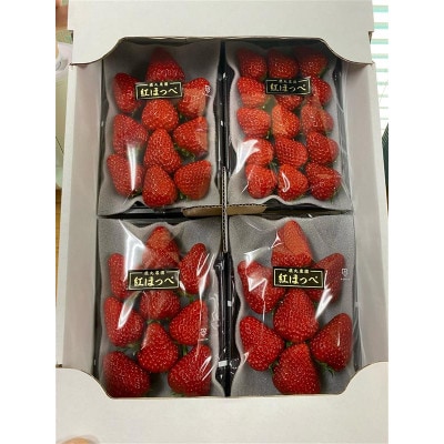 鹿丸農園のおまかせ いちごセット大【約250g×4パック　約1kg】