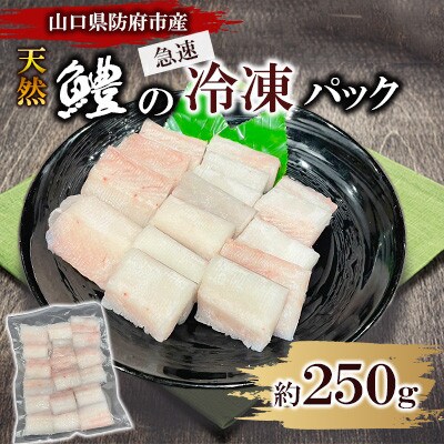 山口県防府市沖で獲れる天然鱧　約250g
