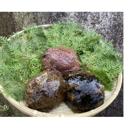 防府市産天然赤なまこ1kg