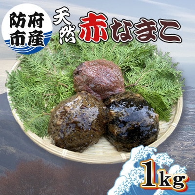 防府市産天然赤なまこ1kg