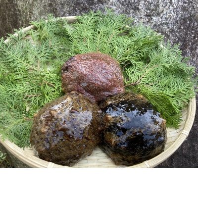 防府市産天然赤なまこ500g