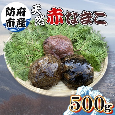防府市産天然赤なまこ500g