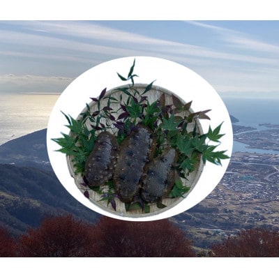 防府市産天然青なまこ1kg