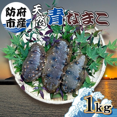 防府市産天然青なまこ1kg