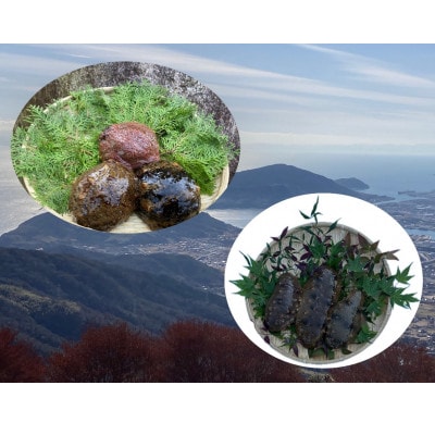 防府市産天然赤なまこ青なまこ食べ比べセット