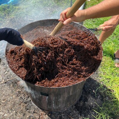 防府市産鉄釜炊き天然ひじき 10袋