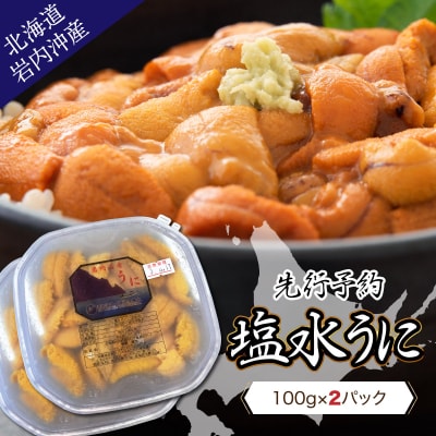 【先行受付】塩水ムラサキウニ100g×2パック 北海道岩内沖産 F21H-530