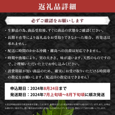 【先行受付】塩水ムラサキウニ100g×2パック 北海道岩内沖産 F21H-530