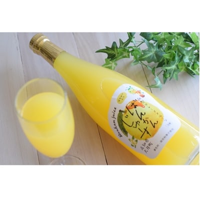 柑橘「河内ばんかん」ジュース3本セット