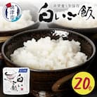 非常食 白いご飯 20食 防災 備蓄 キャンプ 5年保存(a20-405)