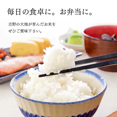 無洗米大和銘米ひのひかり5kg×2
