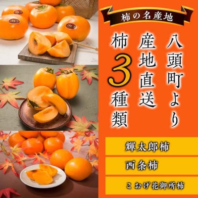 【2026年発送分】八頭の柿スペシャルコース【10月～12月/3回お届け】