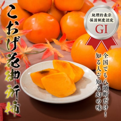 【2026年発送分】八頭の柿スペシャルコース【10月～12月/3回お届け】