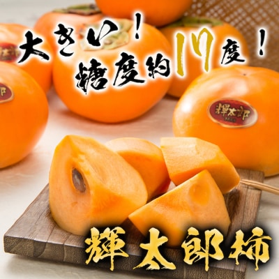 【2026年発送分】八頭の柿スペシャルコース【10月～12月/3回お届け】